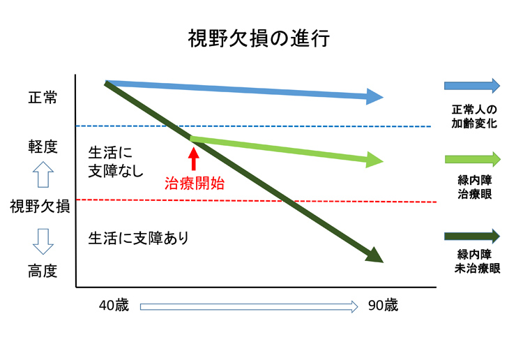 視力の発達